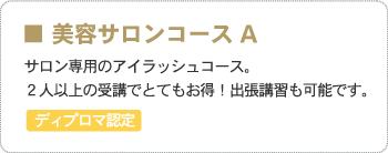 ■サロン専用アイラッシュコース