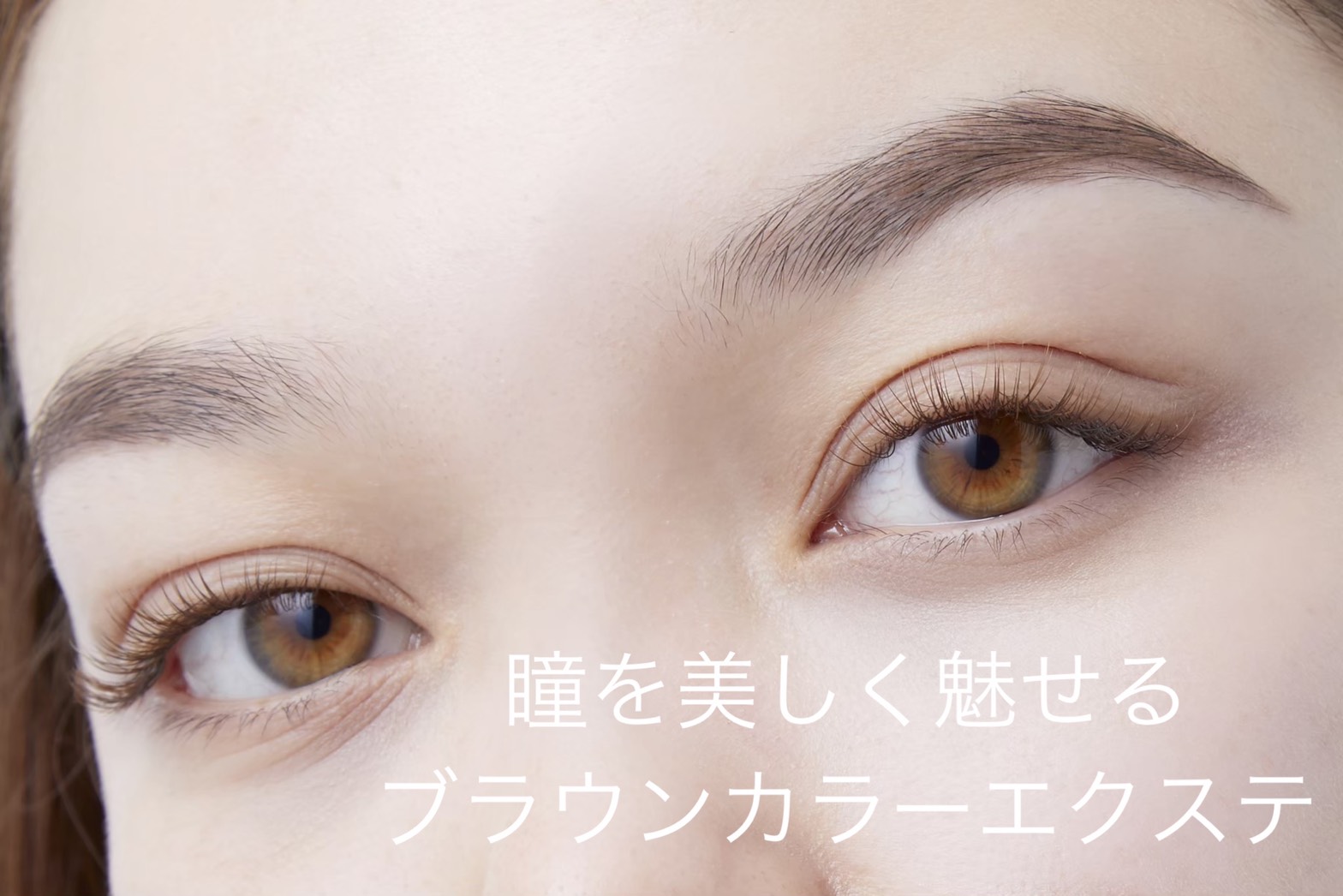 講師詳細 Jec ジャパンアイリストカレッジ